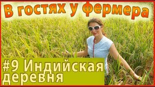 Индийская деревня 9. СЕМЕЙСТВО МОЛОЧНИКА ИЗ КАСТЫ ОХОТНИКОВ. Вода из колодца, ходят по навозу. Индийская деревня 9. СЕМЕЙСТВО МОЛОЧНИКА ИЗ КАСТЫ ОХОТНИКОВ. Вода из колодца, ходят по навозу.
