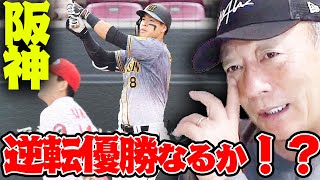 【大接戦‼︎】ヤクルト・阪神・ロッテ・オリックス大混戦の優勝争いについて語ります【プロ野球ニュース】