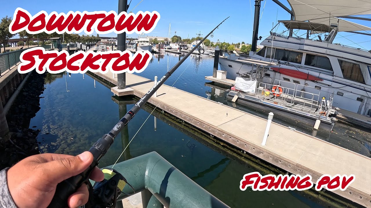 Fishing With The NEW Bass Pro Shops Johnny Morris CarbonLite Pre Mount Spinning Combo 7’3