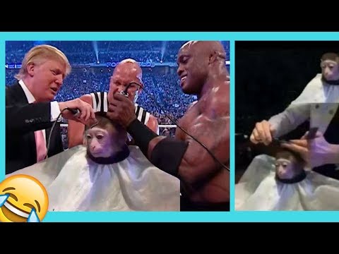 funniest-monkey-haircut-memes