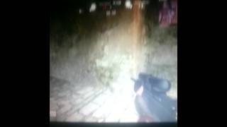 Wolf Team Diriliş