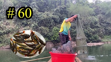 Bắt tôm và cá bằng lồng bát quái trên sông kỳ cùng lạng sơn