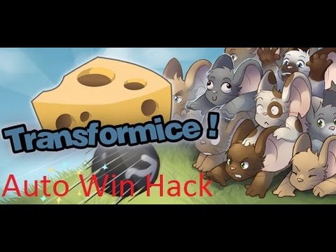 Transformice Auto win