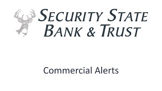 Online Banking: Commercial Alerts
