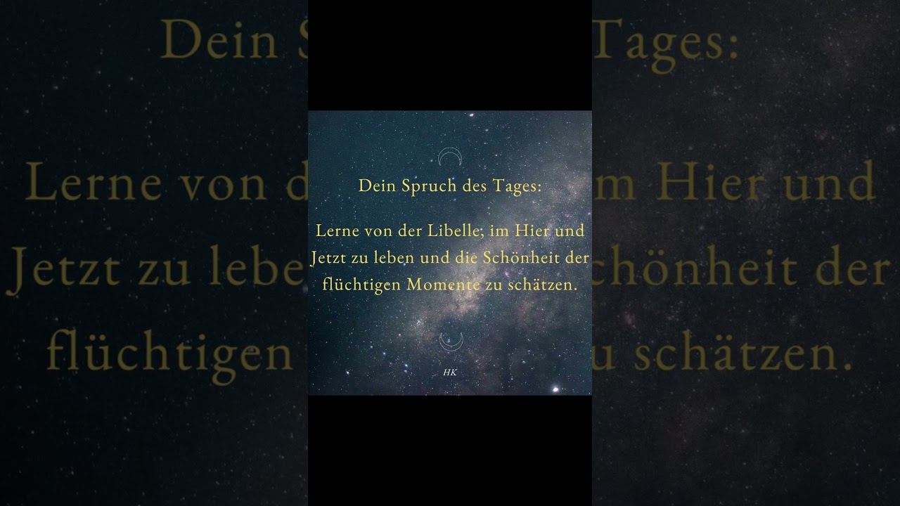 Lerne von der Libelle, im Hier und Jetzt zu leben und