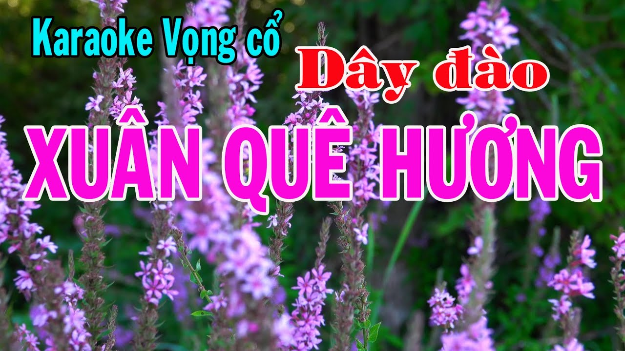 Karaoke vọng cổ XUÂN QUÊ HƯƠNG - DÂY ĐÀO [Tác giả Trần Thúy]