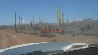 Mexico By Friday - The Two Tracks