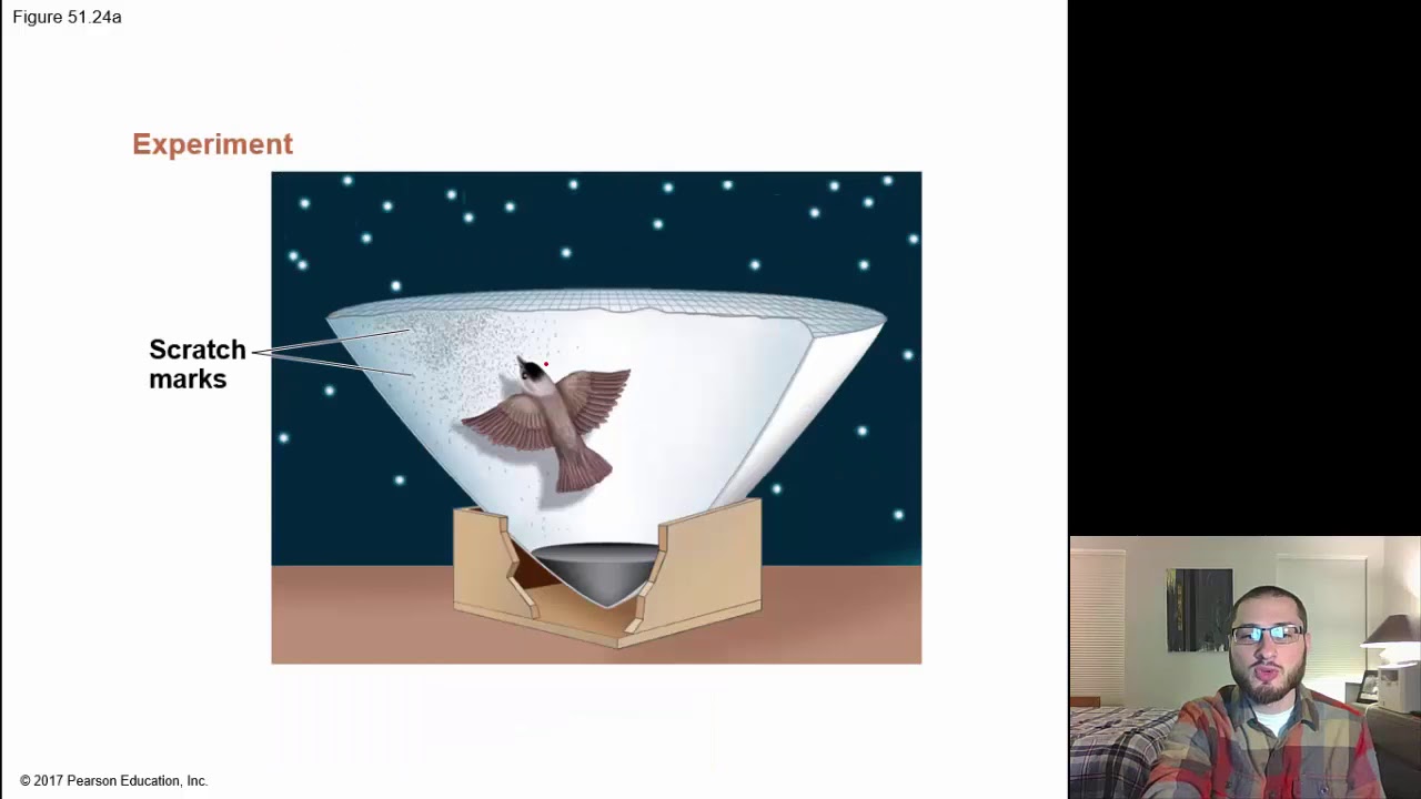 General Biology II - Sexual Selection and Altruism