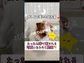 【癒し】疲れた心に効くふわもこ動画 #癒し #犬 #shorts