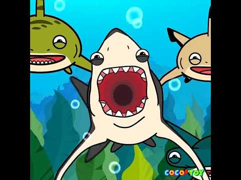 Cheeky baby orcaㅣwhales &amp;<strong>amp</strong>; sharks <strong>for</strong> kidsㅣCoCosToy