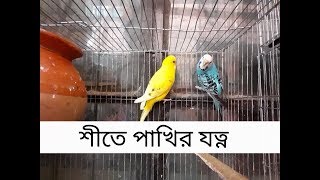 বাজরিগার পাখির রোগ ও চিকিৎসা পদ্ধতি, পাখি পালন