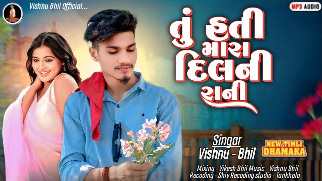Tu Hati Mara Dilni Rani Vishnu Bhil New Timli 2026 DJ Remix Songs Bewafa Gujarati Songs 