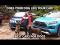 Best Cars for Dogs