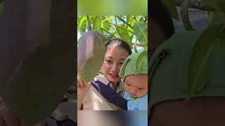  Single mother Make a children's dining table with a water pipe, Harvest giant mangoes 
