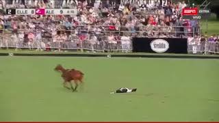 The Polo Channel Caída De Facu Pieres