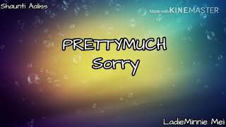 PRETTYMUCH- Sorry/ LYRICS (unreleased)(leaked)