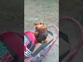 cute dance on Dil lagana Mana tha by jerry #dillaganamanatha #cutebaby #cutenessoverloaded