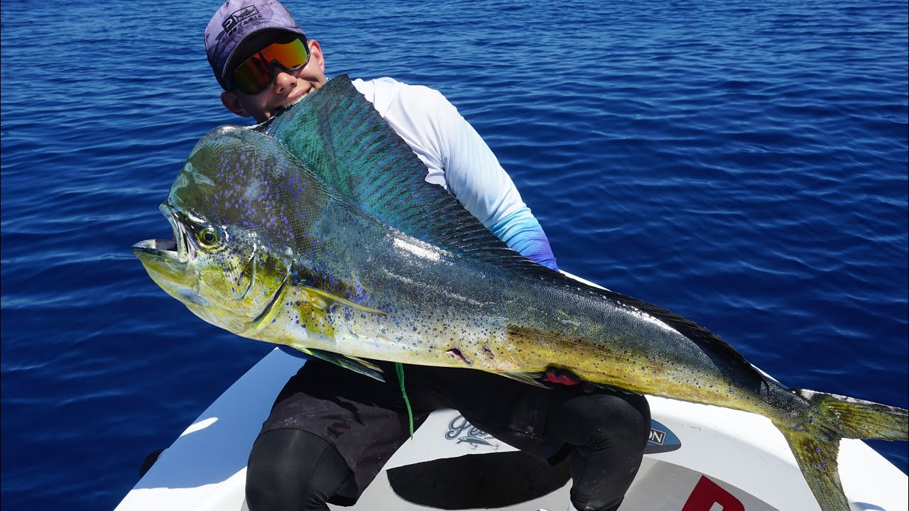 PESCA DE DORADO GIGANTE (MÍ MEJOR RÉCORD) 