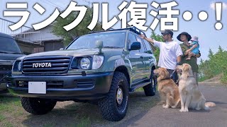 【納車】最高に頼りになるファミリーカー購入しました。