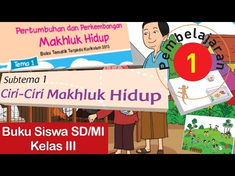 Video: Pusingan PSP • Halaman 3