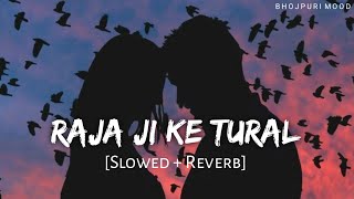 Download Lagu Raja Ji Ke Tural - Lofi (Slowed + Reverb) |Arvind Akela Kallu //राजा जी के तुरल // Bhojpuri Mood// MP3