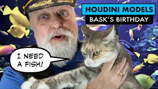 BASK TURNS 13 and is very hungry