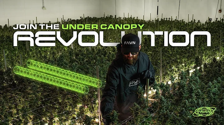 Faven Under Canopy Lights -  Designed by Cultivators for Cultivators