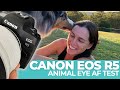 Pet Photographer Tests Out Animal AF on the Canon EOS R5 Mirrorless!