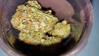 Rise dispensary BLUE GELATO 41 OMGITTYODD