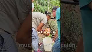 The best wildlife internship