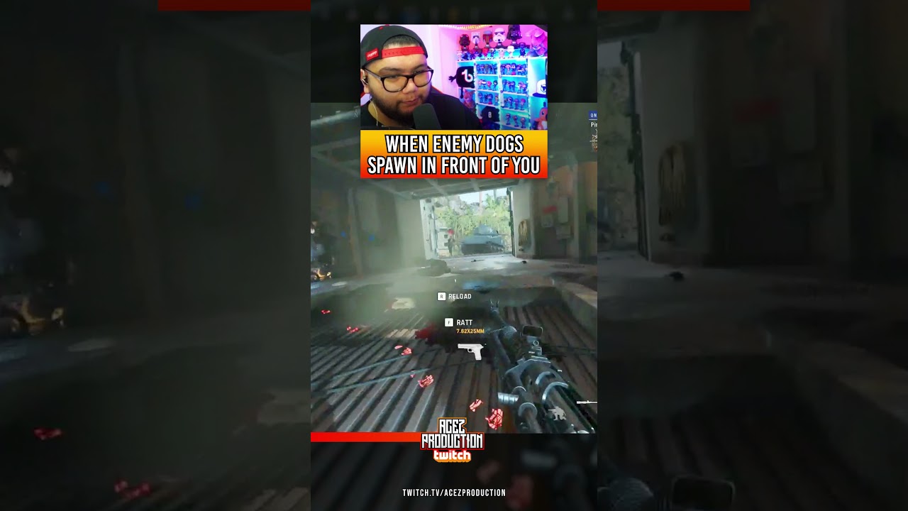 Vanguard Dogs in a Nutshell - Call of Duty Vanguard 