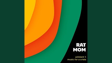 is your workplace trying to kill you?