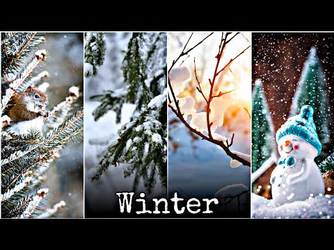 Winter Whatsapp Status | Shardi Whatsapp Status Video | Winter Status | Winter Day| Nature Status |