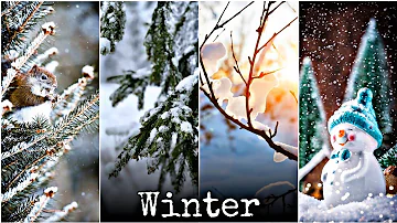 Winter Whatsapp Status | Shardi Whatsapp Status Video | Winter Status | Winter Day| Nature Status |