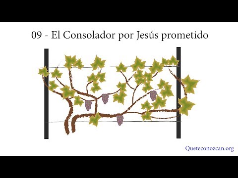 Video: ¿Quién fue el consolador que Jesús prometió enviar?