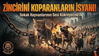 Uprising of the Dispossessed: The Roar of Street Animals! 🐾🔥