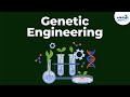Biotechnology Principles: Grafting, Genetic Engineering, and Chemical Engineering