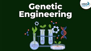Genetic Engineering | Genetics | Biology | Don't Memorise Genetic Engineering | Genetics | Biology | Don't Memorise
