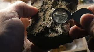 In About a Minute: Relative vs. Absolute Dating