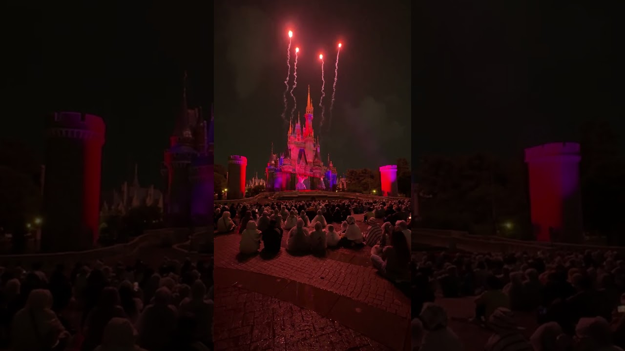 ディズニー リーチフォーザスターズ  VIPツアーなのに色々、目の前を人がら通ったり、イマイチ　2025年５月○日　