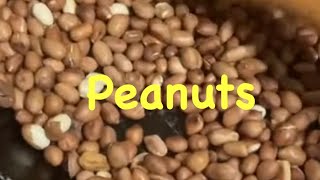 Roasting Peanuts 🥜 