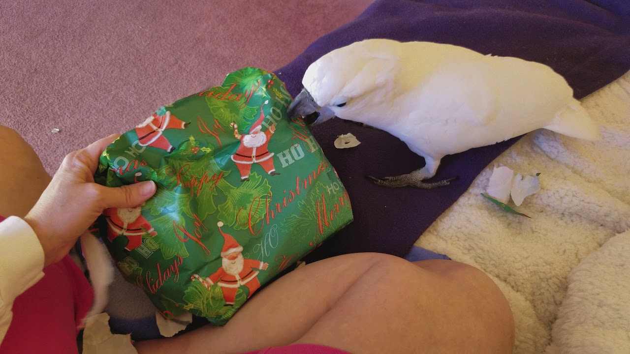 autism quotes Onni Opening A Big Christmas/New Years Present