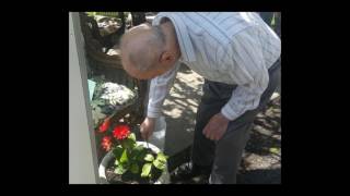 Dementia and Sensory Stimulation