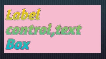 Description about the label control,textBox and radio button.