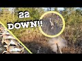 DEER EVERYWHERE!! | Killshot Highlights (Pop. Control Meat Hunts)