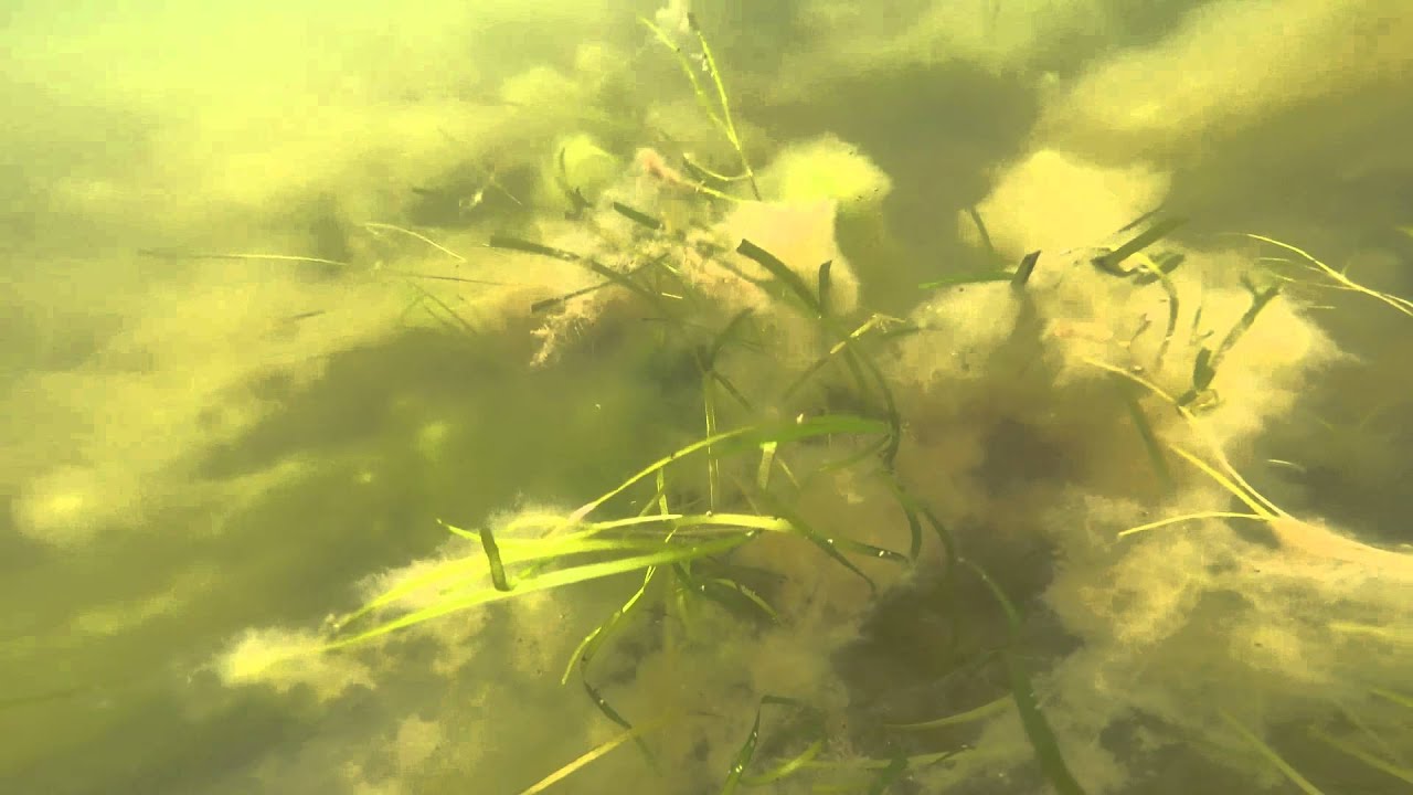 Tilstandsvurdering 24 06 15