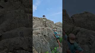 The Man Was Very Clever At Aiming At The Big Bird On The Rock