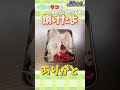 【ゆっくり料理】小さいイカとタコでせんべい作ってみた#Shorts#ゆっくり実況#料理