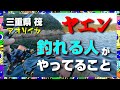 【三重県 筏】ヤエンでアオリイカが釣れる人がやっている事はシンプルです