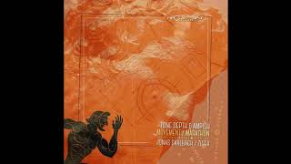 tone depth marathon ziger remix movement recordings